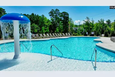2351 Hadley Crossing, Chapin, SC 29036 - Photo 56