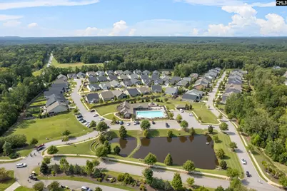 509 Malachite Lane, Chapin, SC 29036 - Photo 44