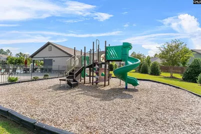 509 Malachite Lane, Chapin, SC 29036 - Photo 38