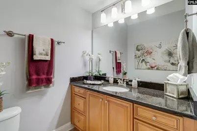 157 Peach Grove Circle, Elgin, SC 29045 - Photo 24