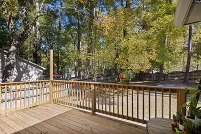 100 Double Branch Court, West Columbia, SC 29169 - Photo 20