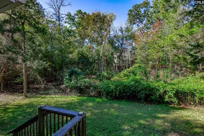 7 Sienna Court, Chapin, SC 29036 - Photo 58