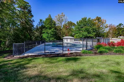 7 Sienna Court, Chapin, SC 29036 - Photo 62