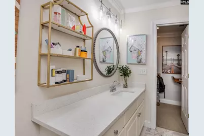 7 Sienna Court, Chapin, SC 29036 - Photo 48