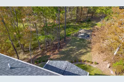 349 Bent Oak Drive, Chapin, SC 29036 - Photo 46