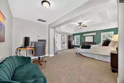 349 Bent Oak Drive, Chapin, SC 29036 - Photo 34