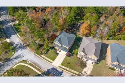 349 Bent Oak Drive, Chapin, SC 29036 - Photo 6