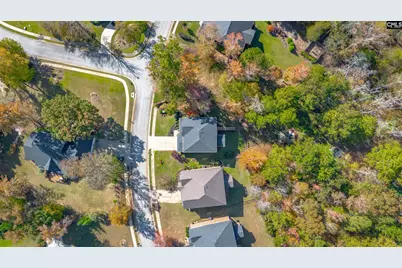 349 Bent Oak Drive, Chapin, SC 29036 - Photo 4
