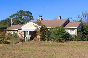 181 Louie St, Wagener, SC 29164 - Photo 16