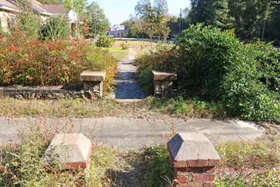 181 Louie Street, Wagener, SC 29164 - Photo 18