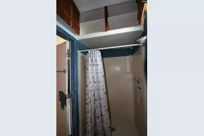 181 Louie Street, Wagener, SC 29164 - Photo 14