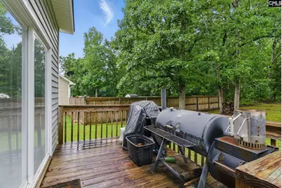 417 Northshore Court, Chapin, SC 29036 - Photo 12
