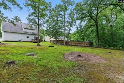 417 Northshore Court, Chapin, SC 29036 - Photo 14