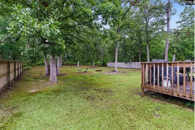 417 Northshore Court, Chapin, SC 29036 - Photo 8
