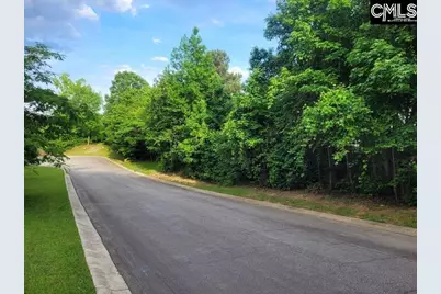 105 River Bluff Court, Columbia, SC 29210 - Photo 6