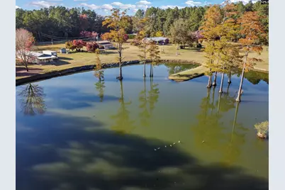 646 Briar Creek Road, Branchville, SC 29432 - Photo 48