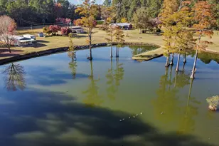 646 Briar Creek Rd, Branchville, SC 29432 - Photo 48