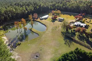 646 Briar Creek Rd, Branchville, SC 29432 - Photo 4