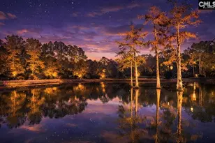 646 Briar Creek Rd, Branchville, SC 29432 - Photo 2