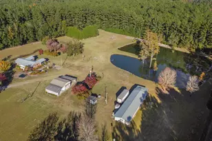 646 Briar Creek Rd, Branchville, SC 29432 - Photo 46