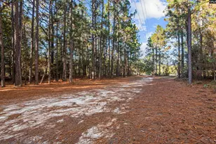 169 Valley Ridge Rd, Swansea, SC 29160 - Photo 30