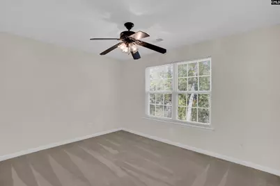 20 Persimmon Wood Court, Irmo, SC 29063 - Photo 36