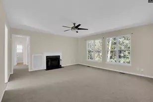 20 Persimmon Wood Ct, Irmo, SC 29063 - Photo 20