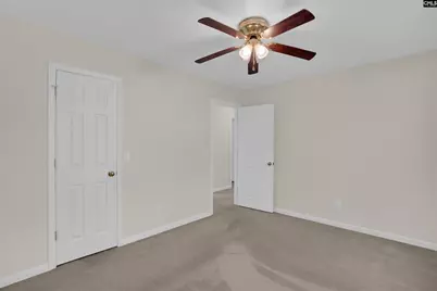 20 Persimmon Wood Court, Irmo, SC 29063 - Photo 44