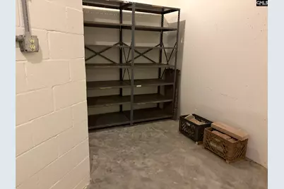 159 Greenside Drive, Lexington, SC 29072 - Photo 54