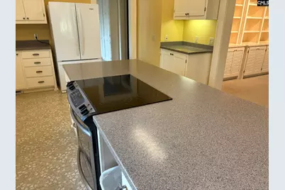 159 Greenside Drive, Lexington, SC 29072 - Photo 18