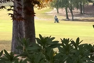 159 Greenside Dr, Lexington, SC 29072 - Photo 56