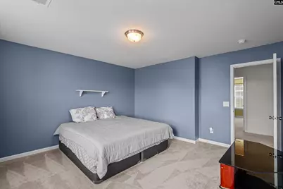 924 Picotee Court, Blythewood, SC 29016 - Photo 26