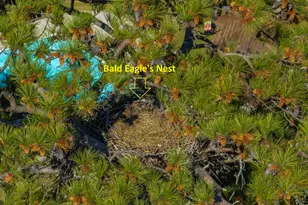 120 Magnolia Key Dr, Chapin, SC 29036 - Photo 6