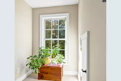 120 Magnolia Key Drive, Chapin, SC 29036 - Photo 44