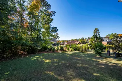 120 Magnolia Key Drive, Chapin, SC 29036 - Photo 54