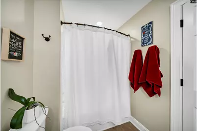 120 Magnolia Key Drive, Chapin, SC 29036 - Photo 40