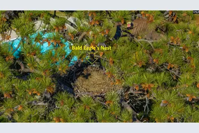 120 Magnolia Key Drive, Chapin, SC 29036 - Photo 6