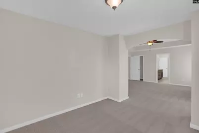 317 Eagle Claw Drive, Chapin, SC 29036 - Photo 24