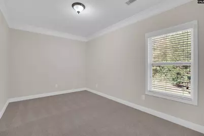 317 Eagle Claw Drive, Chapin, SC 29036 - Photo 18