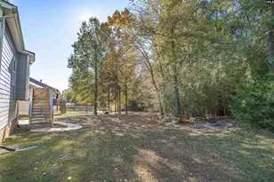 317 Eagle Claw Dr, Chapin, SC 29036 - Photo 46