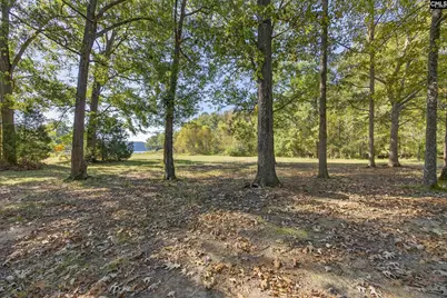 1109 Natures Cove Rd, Saluda, SC 29138 - Photo 4