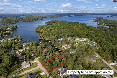 416 Lookover Pointe Drive #32, Chapin, SC 29036 - Photo 2