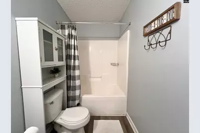 253 Farming Creek Way, Lexington, SC 29072 - Photo 36