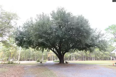 1415 Springvale Road, Lugoff, SC 29078 - Photo 4