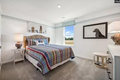 308 Grannys Cut Way, Chapin, SC 29036 - Photo 10