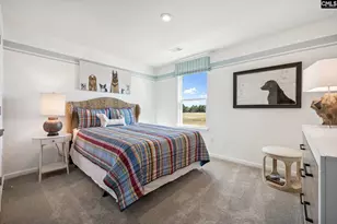 308 Grannys Cut Wy, Chapin, SC 29036 - Photo 10