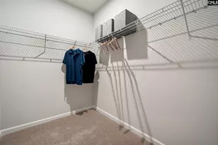 308 Grannys Cut Wy, Chapin, SC 29036 - Photo 16