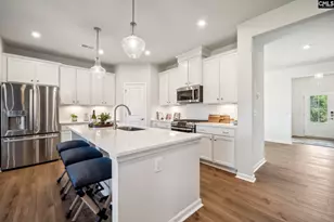 308 Grannys Cut Wy, Chapin, SC 29036 - Photo 6