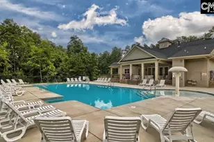 2472 Green Viper Loop, Blythewood, SC 29016 - Photo 48