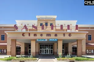 2472 Green Viper Loop, Blythewood, SC 29016 - Photo 50